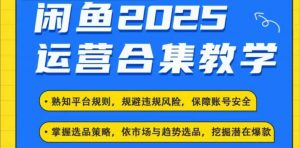 2025闲鱼电商运营全集,2025最新咸鱼玩法-阳知网创资源库