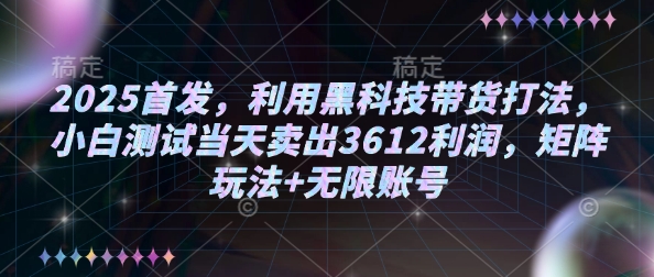 2025首发,利用黑科技带货打法,小白测试当天卖出3612利润,矩阵玩法+无限账号【揭秘】-阳知网创资源库