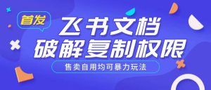 首发飞书文档破解复制权限，售卖自用均可暴力玩法-阳知网创资源库
