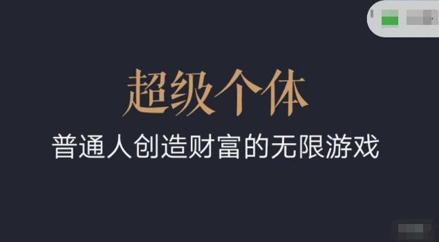 超级个体2024-2025翻盘指南,普通人创造财富的无限游戏-阳知网创资源库