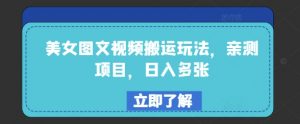 美女图文视频搬运玩法，亲测项目，日入多张-阳知网创资源库
