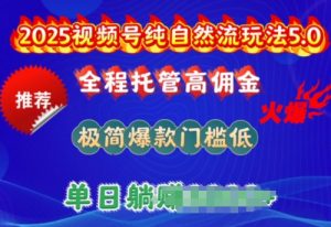 2025视频号纯自然流玩法5.0,全程托管高佣金,极简爆款门槛低,单日收益多张【揭秘】-阳知网创资源库