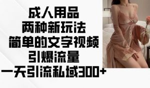 成人用品两种新玩法，简单的文字视频引爆流量，一天引流私域300+-阳知网创资源库