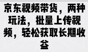 京东视频带货,两种玩法,批量上传视频,轻松获取长期收益-阳知网创资源库