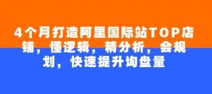 4个月打造阿里国际站TOP店铺，懂逻辑，精分析，会规划，快速提升询盘量-阳知网创资源库