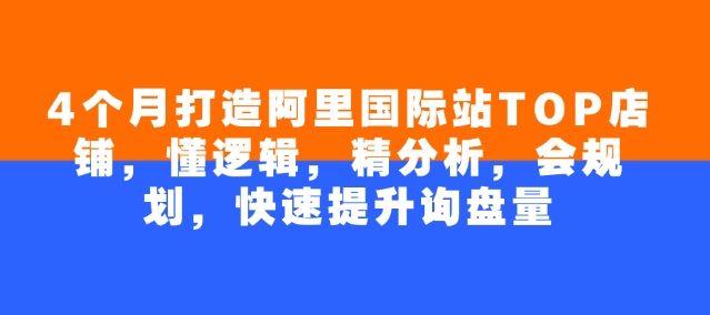 4个月打造阿里国际站TOP店铺，懂逻辑，精分析，会规划，快速提升询盘量-阳知网创资源库