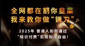 知识付费如何做到月入过W+,2025我来教你做“镰刀”【揭秘】-阳知网创资源库