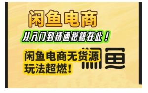 闲鱼电商实战课,从入门到精通秘籍在此,闲鱼电商无货源玩法超燃!-阳知网创资源库