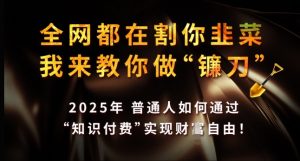 全网都在割你韭菜,我来教你做镰刀,2025年普通人如何通过 知识付费 实现财F自由【揭秘】-阳知网创资源库