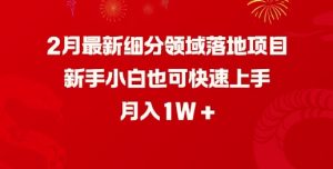 2月最新细分领域落地项目,新手小白也可快速上手,月入1W-阳知网创资源库