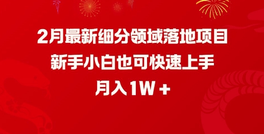 2月最新细分领域落地项目,新手小白也可快速上手,月入1W-阳知网创资源库
