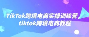 TikTok跨境电商实操训练营,tiktok跨境电商教程-阳知网创资源库