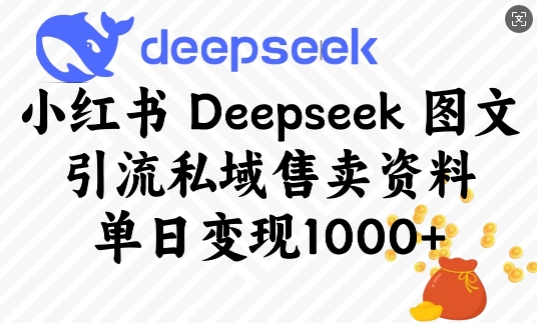 小红书Deepseek图文引流私域售卖资料,单日变现多张-阳知网创资源库
