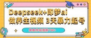 小白用DeepSeek+即梦做ai养生视频,一条作品涨粉5万+,单日收益多张-阳知网创资源库