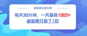 副业她只用了1招,每天30分钟,无脑二创,一天最高1.5k-阳知网创资源库