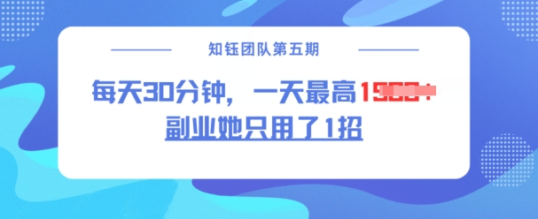 副业她只用了1招,每天30分钟,无脑二创,一天最高1.5k-阳知网创资源库