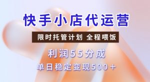 快手小店代运营3.0,模式新升级,收益55分,稳定单日5张【揭秘】-阳知网创资源库