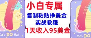 复制粘贴挣美金,0门槛,1天收入95美刀,3分钟学会,内部教程(首次公开)-阳知网创资源库