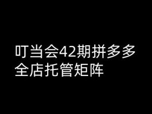 叮当会拼多多打爆班原创高阶技术第42期，拼多多全店托管矩阵-阳知网创资源库