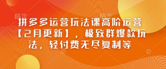 拼多多运营玩法课高阶运营【2月更新】,极致群爆款玩法,轻付费无尽复制等-阳知网创资源库