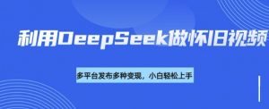 利用DeepSeek做怀旧视频,流量号多渠道变现能力强-阳知网创资源库