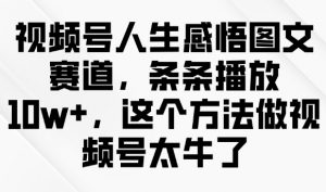 视频号人生感悟图文赛道,条条播放10w+,这个方法做视频号太牛了-阳知网创资源库