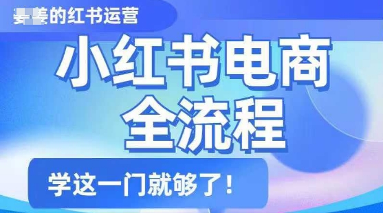 小红书电商全流程,精简易懂,从入门到精通,学这一门就够了-阳知网创资源库