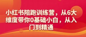 小红书陪跑训练营,从6大维度带你0基础小白,从入门到精通-阳知网创资源库
