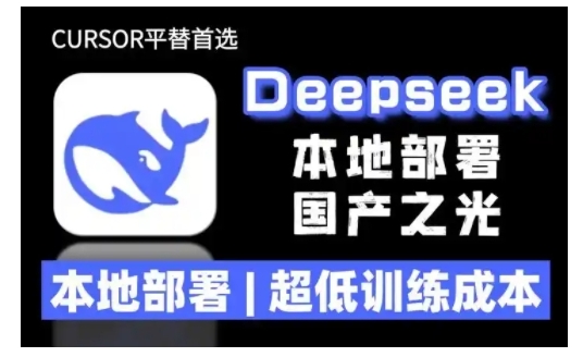 2025年deepseek R1 大型模型本地安装部署(文件+教程)本地部署,超低训练成本-阳知网创资源库
