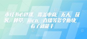 小红书必修课,覆盖电商,无人,获客,种草,mcn,直播等多个板块,看了就能干-阳知网创资源库