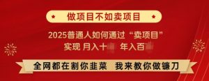 必看,做项目不如卖项目,2025普通人如何通过“卖项目”实现月入十个,年入百个-阳知网创资源库