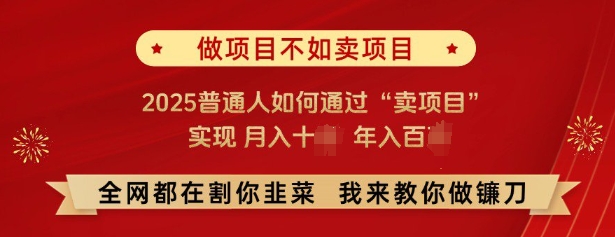 必看,做项目不如卖项目,2025普通人如何通过“卖项目”实现月入十个,年入百个-阳知网创资源库