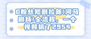 0粉丝短剧拉新(河马剧场)全流程,一个视频搞了2954-阳知网创资源库