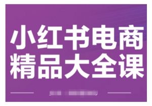 小红书电商精品大全课，快速掌握小红书运营技巧，实现精准引流与爆单目标，轻松玩转小红书电商-阳知网创资源库