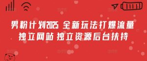男粉计划2025  全新玩法打爆流量 独立网站 独立资源后台扶持【揭秘】-阳知网创资源库