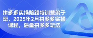 拼多多实操陪跑特训营弟子班,2025年2月拼多多实操课程,海量拼多多玩法-阳知网创资源库