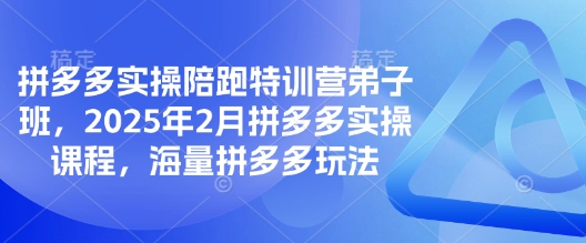 拼多多实操陪跑特训营弟子班,2025年2月拼多多实操课程,海量拼多多玩法-阳知网创资源库