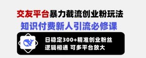 交友平台暴力截流创业粉玩法，知识付费新人引流必修课，日稳定300+精准创业粉丝，逻辑相通可多平台放大-阳知网创资源库
