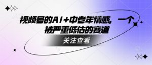 视频号的AI+中老年情感，一个被严重低估的赛道-阳知网创资源库