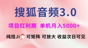 搜狐音频挂ji3.0.可矩阵可放大,独家技术,稳定月入5000+【揭秘】-阳知网创资源库