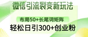 微信引流裂变新玩法:布局50+长尾词矩阵,轻松日引300+创业粉-阳知网创资源库
