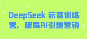 DeepSeek 获客训练营，破局AI引爆营销-阳知网创资源库