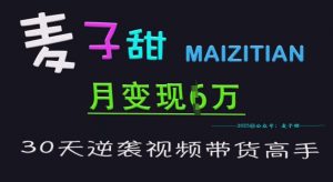 麦子甜30天逆袭视频带货高手,单月变现6W加特训营-阳知网创资源库