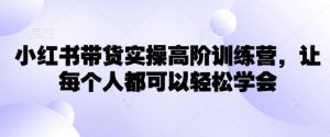 小红书带货实操高阶训练营,让每个人都可以轻松学会-阳知网创资源库