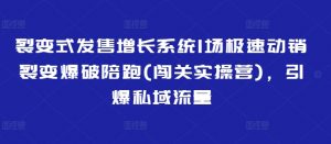 裂变式发售增长系统1场极速动销裂变爆破陪跑(闯关实操营),引爆私域流量-阳知网创资源库