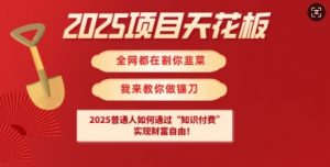 2025项目天花板普通人如何通过知识付费,实现财F自由【揭秘】-阳知网创资源库