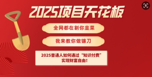 2025项目天花板普通人如何通过知识付费,实现财F自由【揭秘】-阳知网创资源库