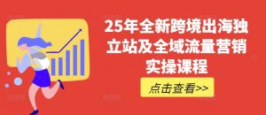 25年全新跨境出海独立站及全域流量营销实操课程，跨境电商独立站TIKTOK全域营销普货特货玩法大全-阳知网创资源库