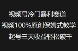 视频号冷门暴利赛道视频100%原创保姆式教学起号三天收益轻松破千-阳知网创资源库