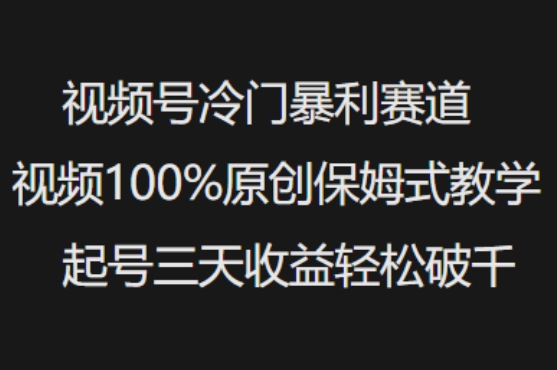 视频号冷门暴利赛道视频100%原创保姆式教学起号三天收益轻松破千-阳知网创资源库